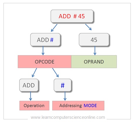 āĻāĻŋāϤā§āϰ ā§§ā§Ģ: āĻŽā§āϞ article-āĻāϰ Instruction Cycle āĻ Instruction Format diagram